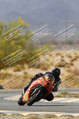 media/Apr-10-2022-SoCal Trackdays (Sun) [[f104b12566]]/Turn 5 Tree of Life (1040am)/